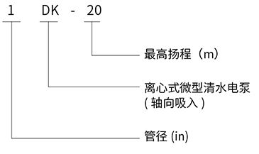 2_09.jpg